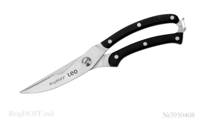Berghoffmd_3950408.png_1